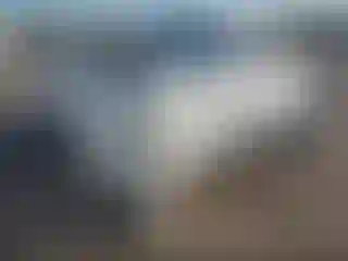 Vehicle Image- 2023 Ford F-250